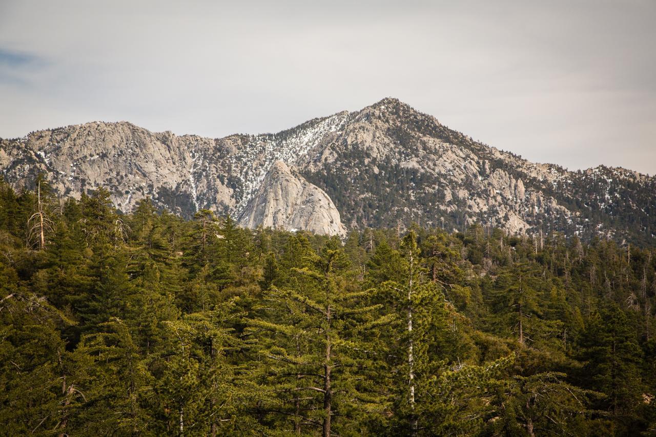 Idyllwild Camping Resort Cabin Ngoại thất bức ảnh