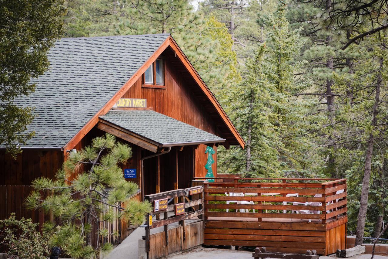 Idyllwild Camping Resort Cabin Ngoại thất bức ảnh