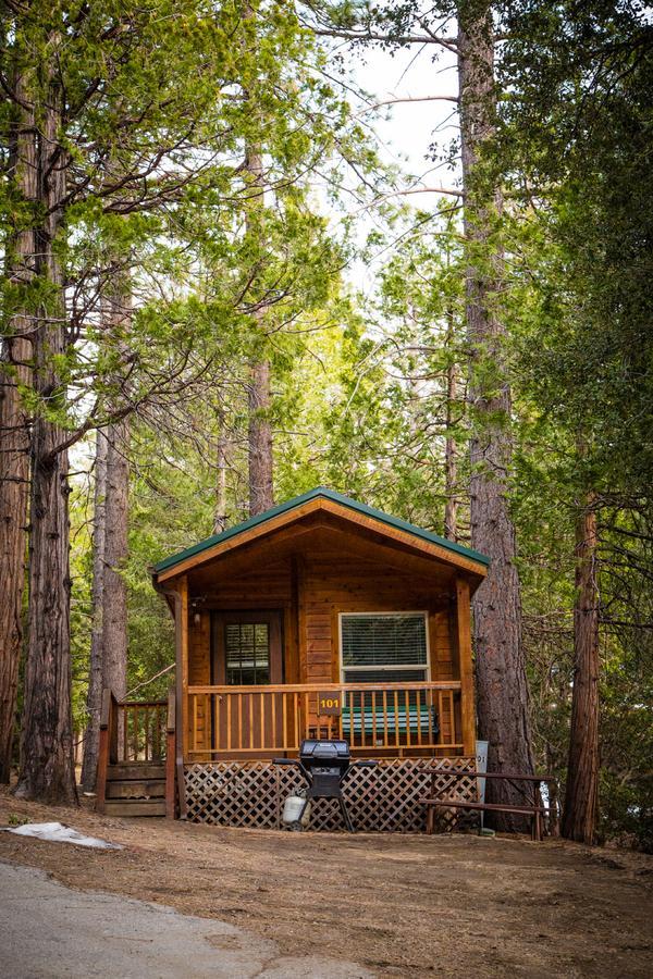 Idyllwild Camping Resort Cabin Ngoại thất bức ảnh
